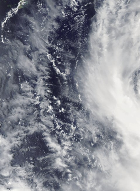 颱風 在下一次巨災來臨前