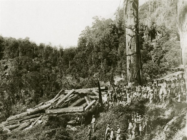 枯木逢春：產業和歲月的更迭與交匯