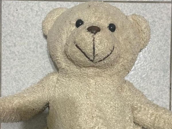 關於熊熊和家人的故事