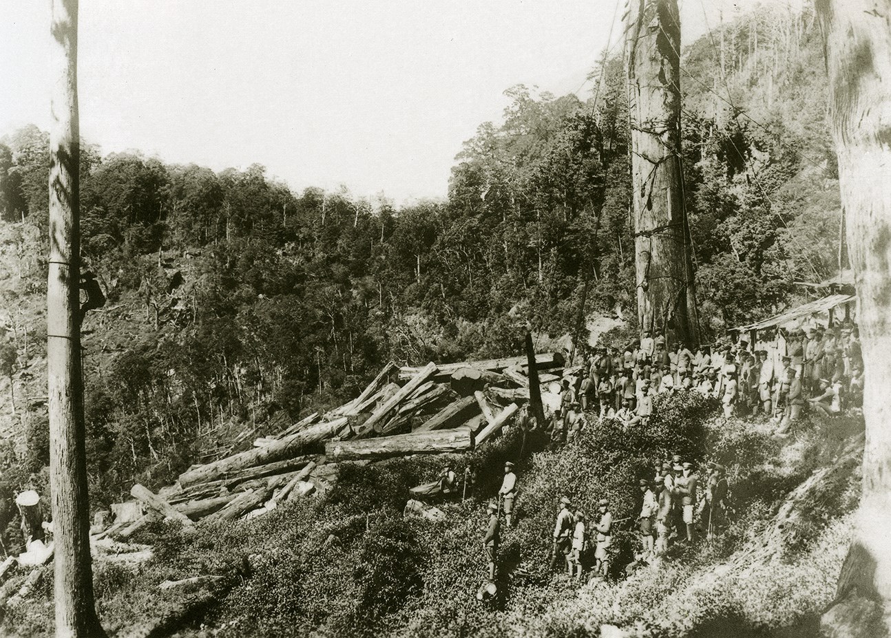 枯木逢春：產業和歲月的更迭與交匯