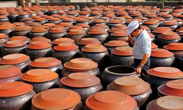 西螺釀生活：醬油DIY釀造套組