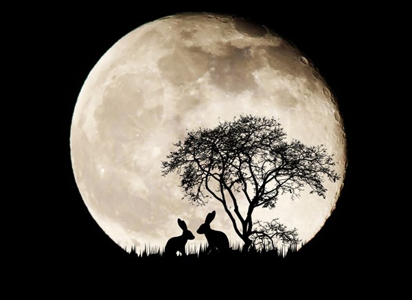 賞『月』賞『樂』 烤肉最悅