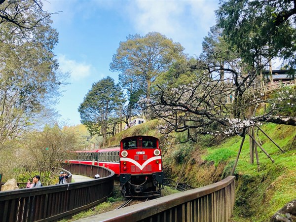 阿里山的辛酸歷程