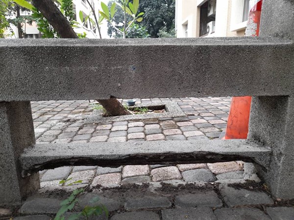 百年身影--斗高石橋