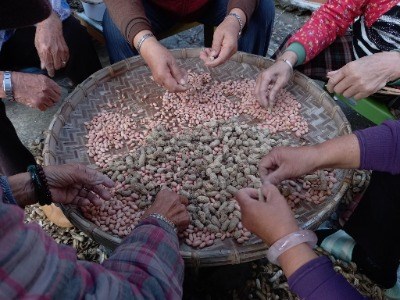 放伴剝花生，重建互助共好之鄰里關係