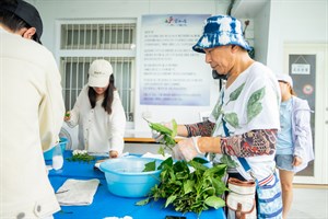 頭城鎮福成玩染工坊-搓葉子體驗