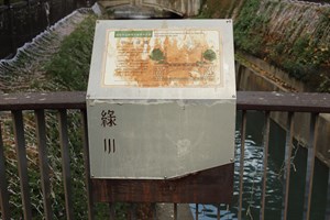 中山綠橋解說