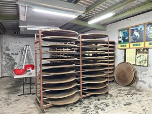 室內日光萎凋