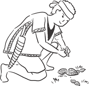 *採集藥材的插畫示意圖。本計畫繪製