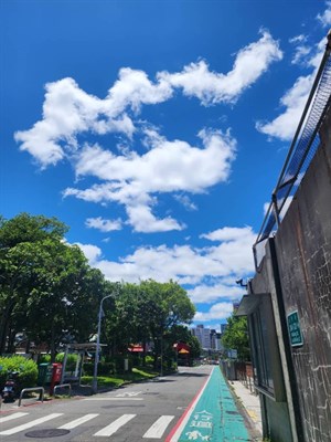 北醫街道