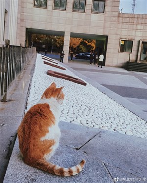 大學校園