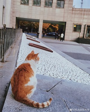 大學校園