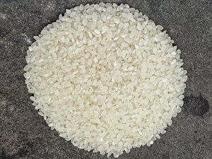 蓬萊米