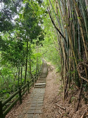 福源山風景