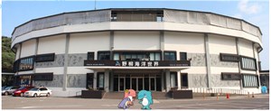海洋動物遊樂園