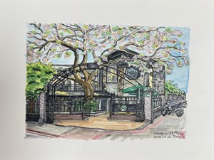 士林區特色咖啡廳-星巴克天玉門市 (創作者：蔡麗玲)