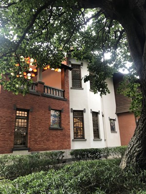 南面有兩扇別緻的彩繪玻璃並有一棵大莿桐樹