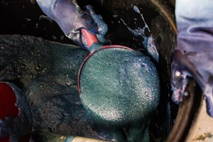 花蓮Dipit-復興無菸部落-打藍