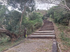 觀海步道的走道我們要上去了