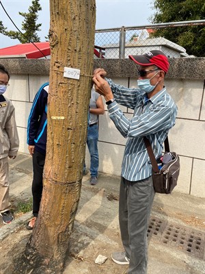 跟著河流去旅行-刺桐樹調查