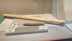 寸子寸棒