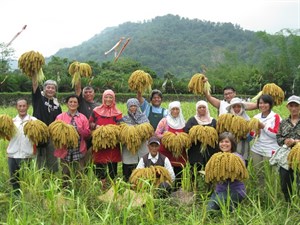小米