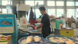 梧棲漁港觀光漁市場攤販