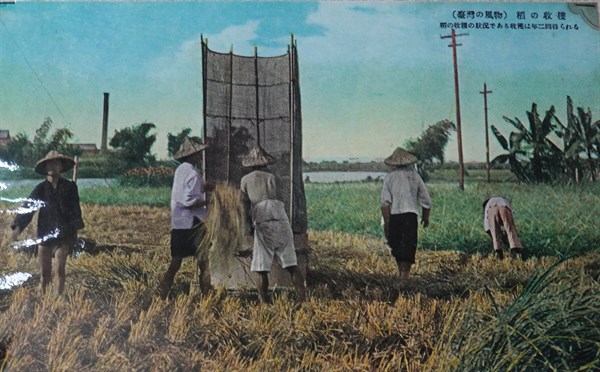 北港高中鄉土文物館館藏文物：日治時期台灣物產寫真老照片