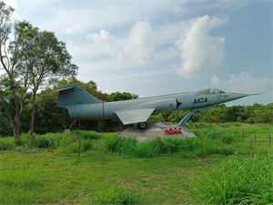 大楊油庫休憩公園-退役戰機