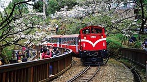 阿里山火車