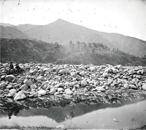 〈荖濃東方森林覆蓋的群山〉。資料來源：Wellcome collection