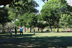 鳥竹圍公園的假日