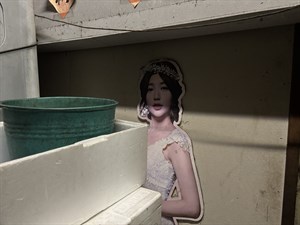 HI，雪芙