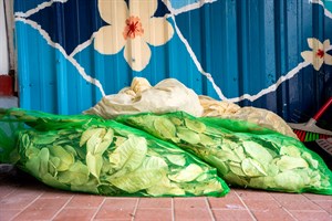 鳳林鎮花手巾植物染工坊-植物染材