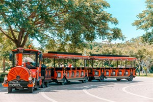 臺南山上花園水道博物館 遊園小火車