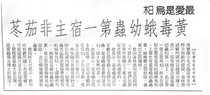 南寮國小-最愛是烏桕