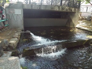 梅川生態親水公園抽水口