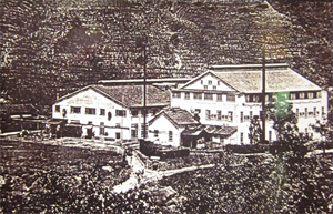 三井大豹製茶工廠