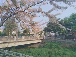 公園