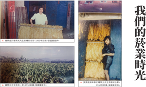 【串山徑】杉林展區-燻影新庄 繪影新和