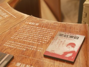 展覽內一隅