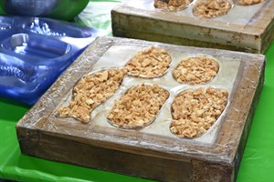五牲的塑料盒