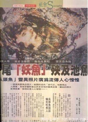 人面魚報導