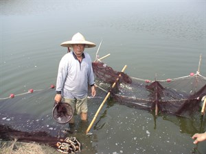 用竹棍分格
