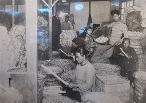 館藏日治時期蓪草紙之製作老照片