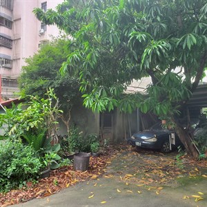實地照片3