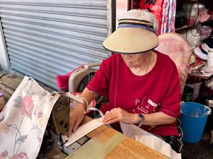 許林望車布