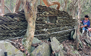 *照片為尋根踏查時所攝位於 balisan 馬里山的布農族舊家屋。照片提供：莎妃‧巴樂樂霏