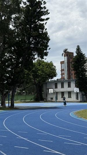籃球場