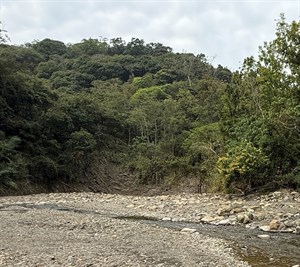 〈與我們的武裝嚮導丁才在枋寮附近的小溪〉現地影像，2025年2月拍攝